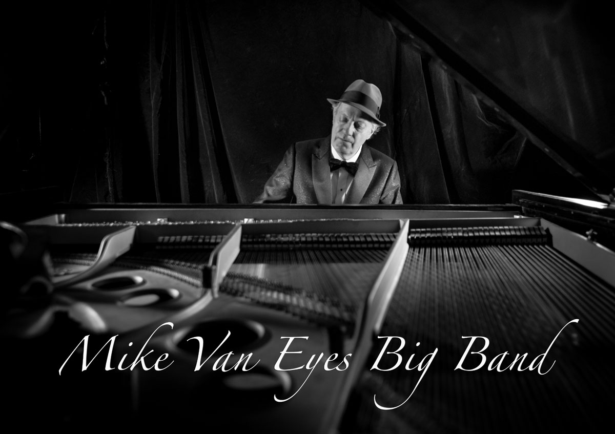 The MIKE VAN EYES Band